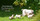 Chiot bulldog anglais disponible à vendre chez Dreamlander élevage carlin en Sarthe